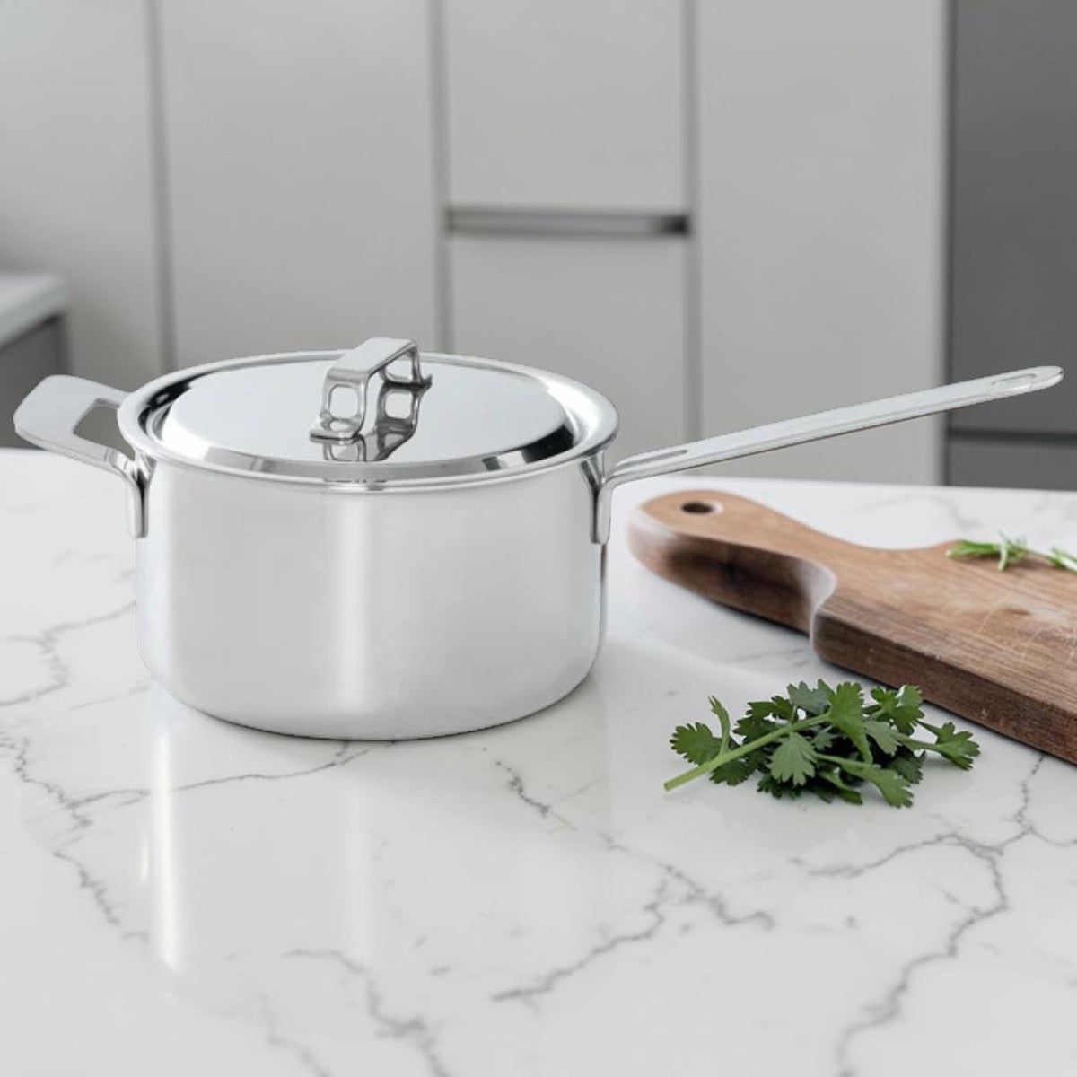 Stainless Steel Saucepan with Lid for Kitchen Cooking, 3 Liter