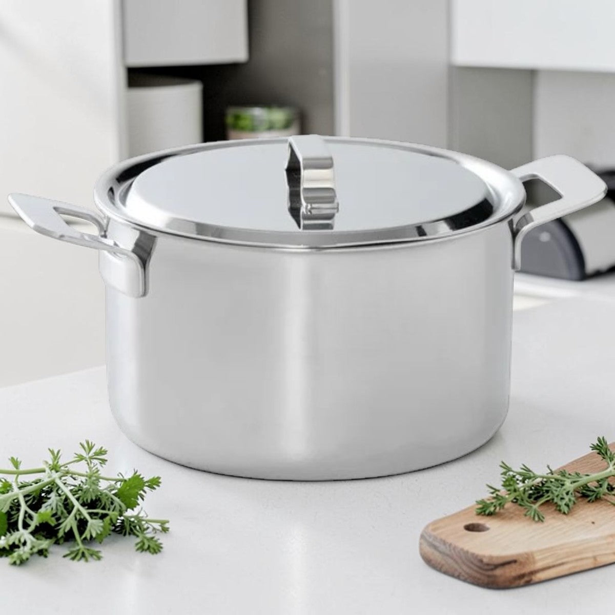 Stainless Steel Stock Pot with Lid for Kitchen Cooking, 6 Liter