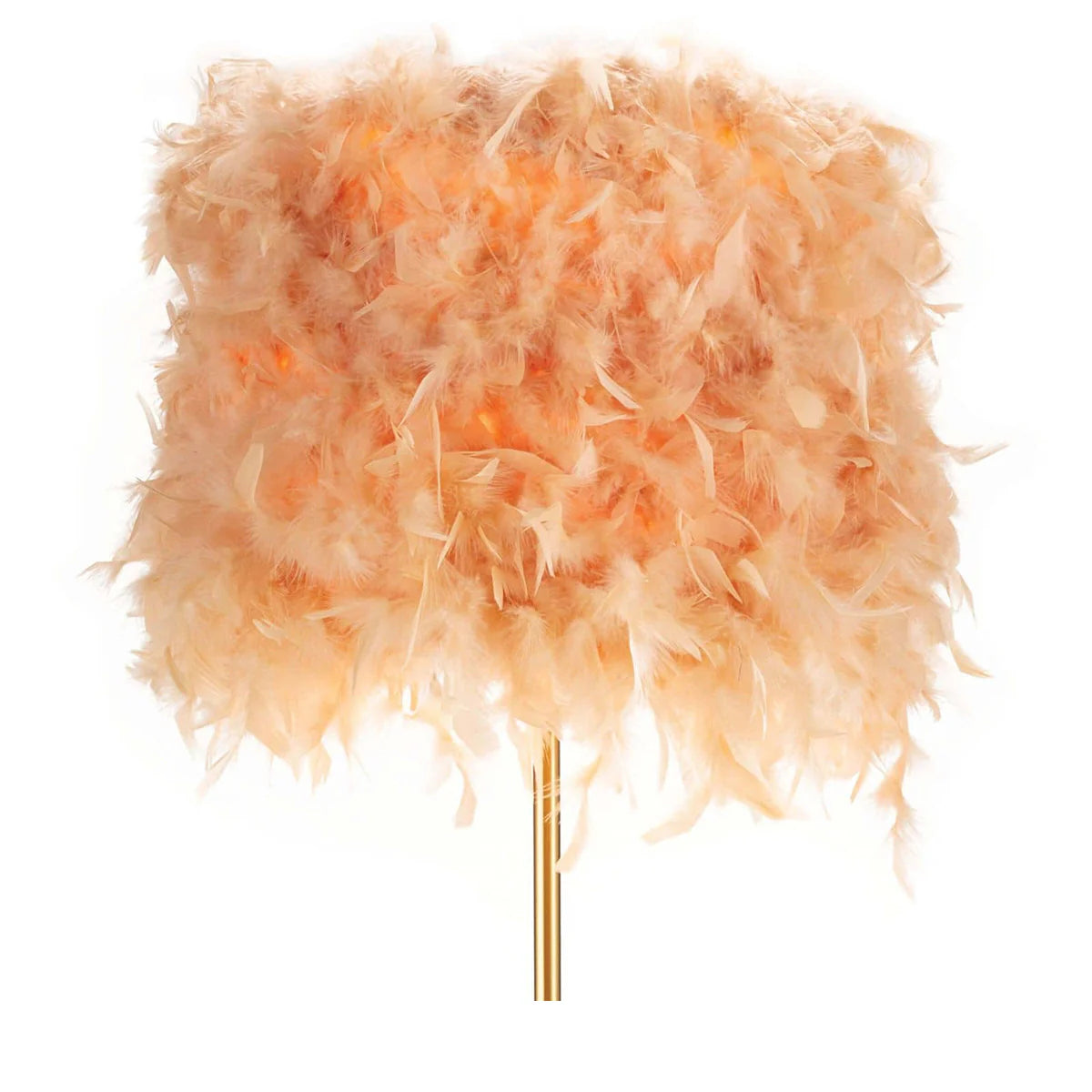 Pink Feather Shade Floor Lamp with Brass Finish Base
