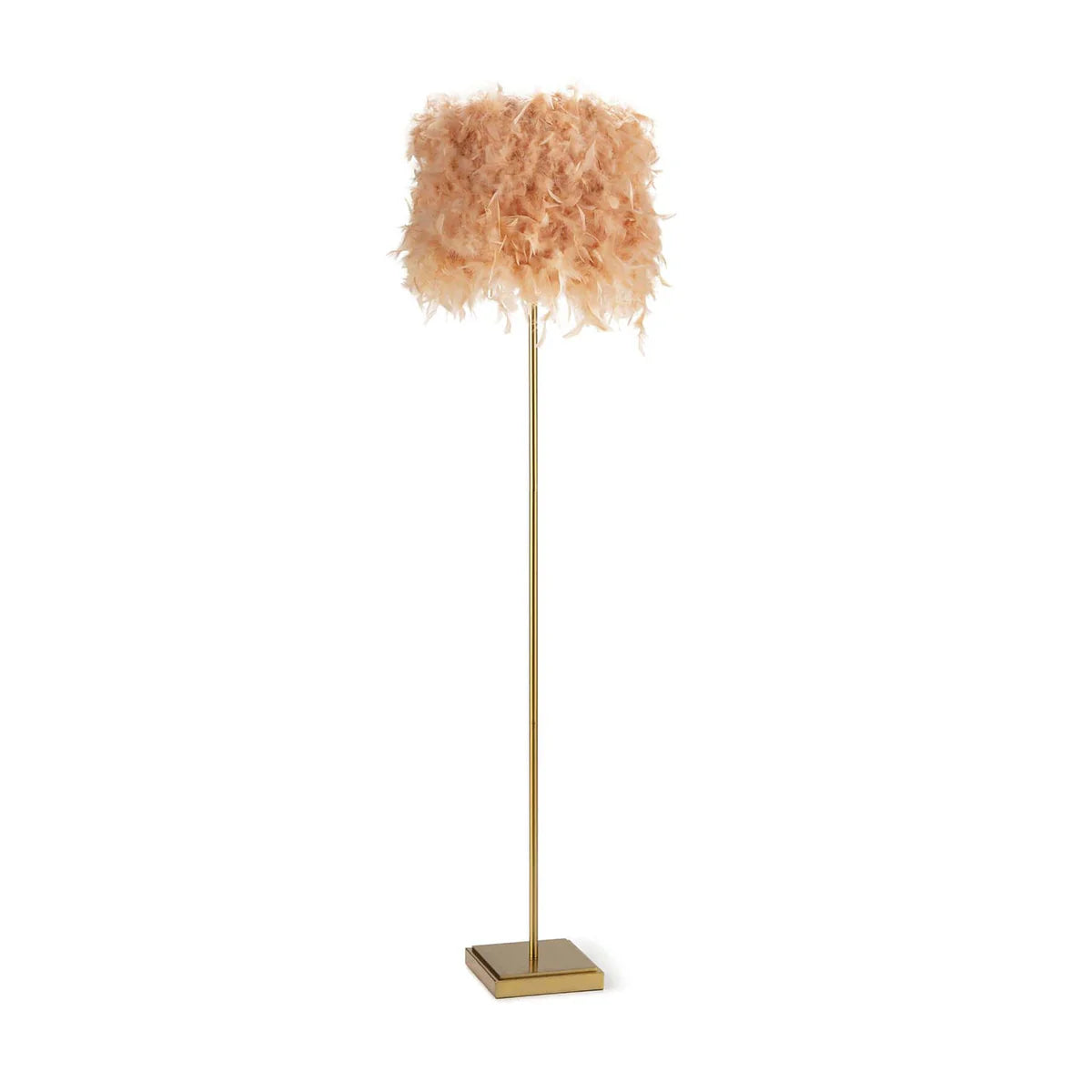 Pink Feather Shade Floor Lamp with Brass Finish Base